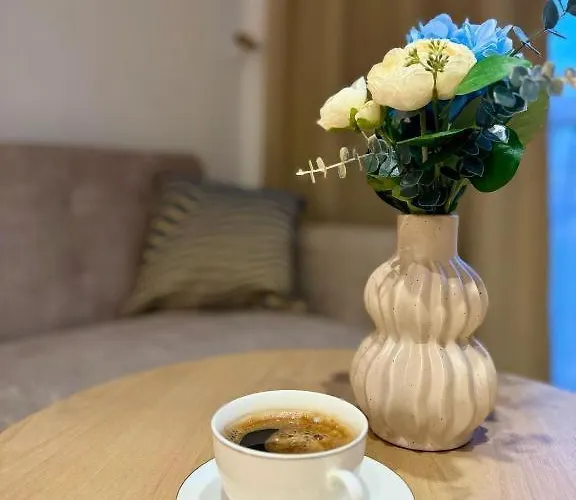 Appartement Balandy 18